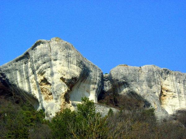 Крым. Пятая балка. Весенние цветы в горном Крыму. Фото: Алла Лавриненко