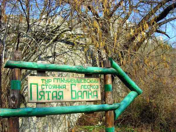 Крым. Пятая балка. Весенние цветы в горном Крыму. Фото: Алла Лавриненко