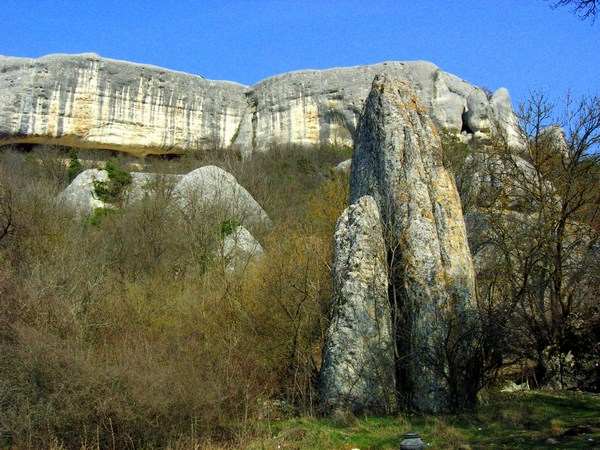 Крым. Пятая балка. Весенние цветы в горном Крыму. Фото: Алла Лавриненко