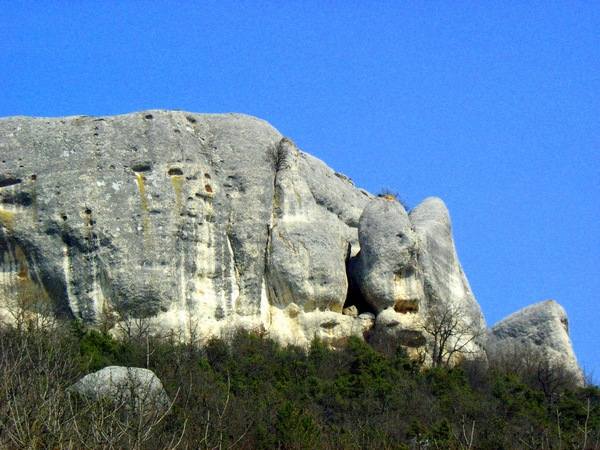 Крым. Пятая балка. Весенние цветы в горном Крыму. Фото: Алла Лавриненко