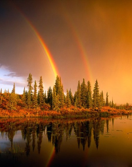 Радуга. Фото:xaxor.com