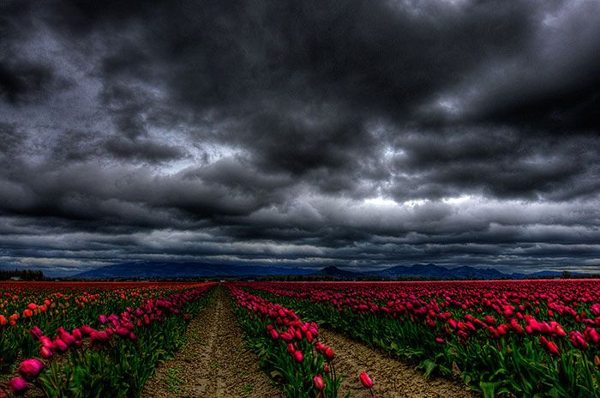 Красота весны. Фото:xaxor.com