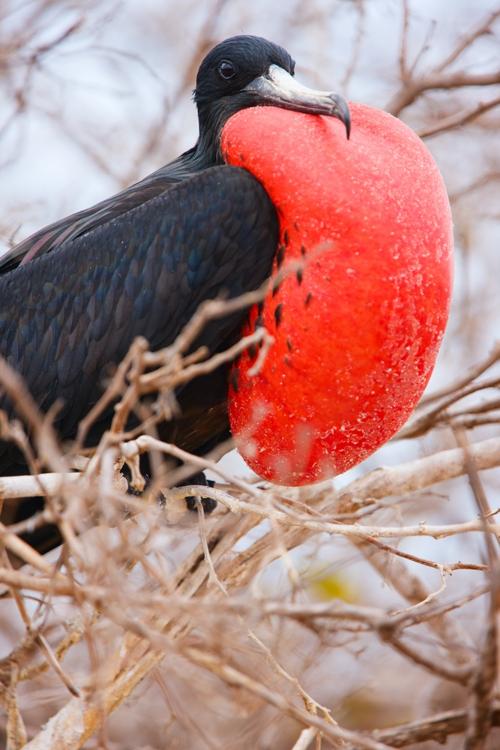 Фото: Shutterstock*