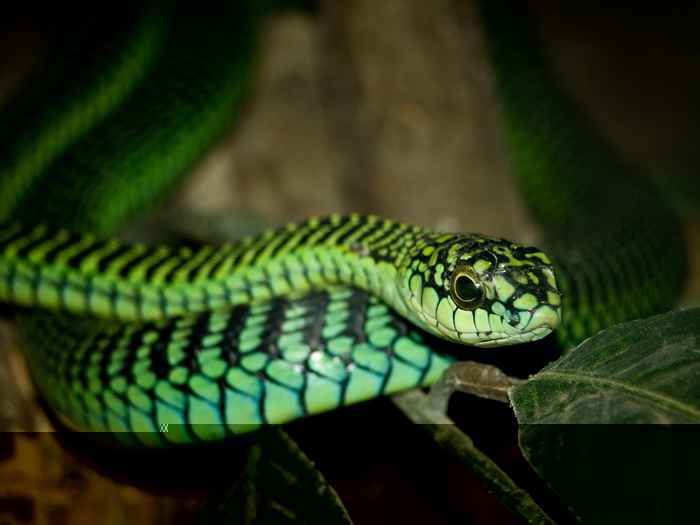 Фото: William Warby/Wikimedia Commons