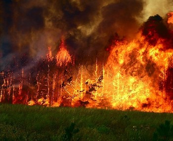 В Нижегородской области горят леса. Фото с t-l.ru