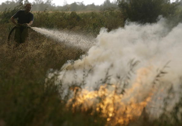  Жертвами лесных пожаров в Воронеже стали пять человек.  Пожар в Выксунском районе в Нижегородской области угрожает распространиться на шесть  населенных пунктов. Фото: ARTYOM KOROTAYEV/AFP/Getty Images