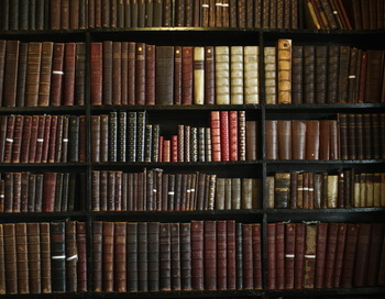 Шкаф с книгами. Фото: Christopher Furlong / Getty Images