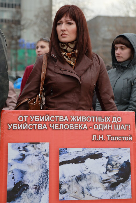 Россия без жестокости. Фото: Сергей Кузьмин/Великая Эпоха (The Epoch Times)