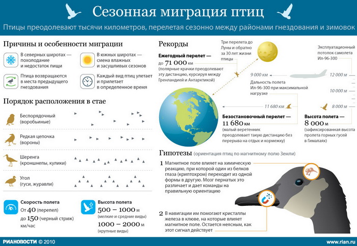 [16:01:09] Юля_Москва: Сезонная миграция птиц