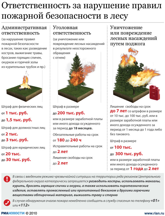 Ответственность за нарушение правил пожарной безопасности в лесу