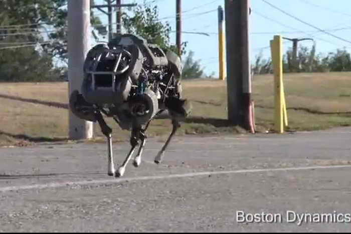 WildCat в движении. Фото: Boston Dynamics