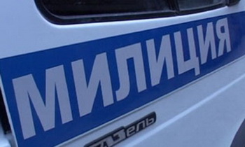 Пропала трехлетняя девочка в деревне Октябрина Свердловской области.  Фото с сайта ovesti.ru