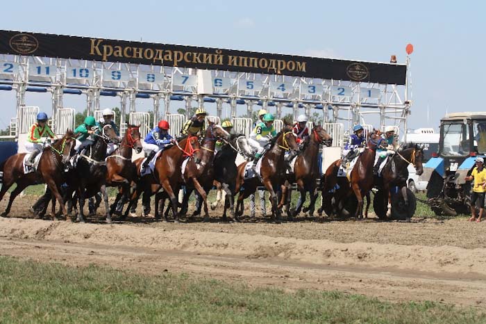Краснодарский ипподром. Фото: Наталья Будычева
