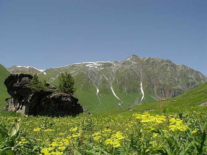 Горный Алтай, Россия. Фото: Евгений Жулин