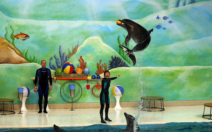 Дельфинарий Dubai Dolphinarium, ОАЭ. Фото: MARWAN NAAMANI/AFP/Getty Images