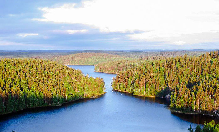 Белые ночи в национальном парке Реповеси. Фото: M. Passinen/commons.wikimedia.org