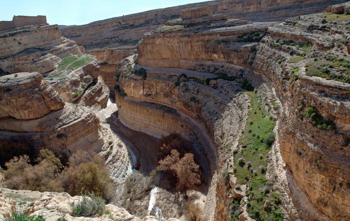 Оазис Тамерза, Тунис. Фото: Jacques Croizer/Photos.com 