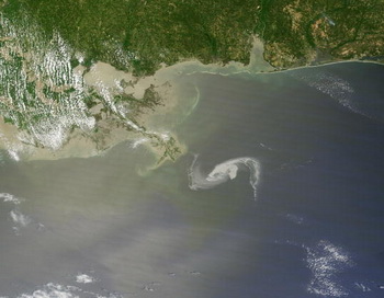 Нефтяное пятно в Мексиканском заливе. Фото: NASA via Getty Images