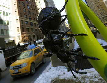  Фото: TIMOTHY A. CLARY/AFP/Getty Images