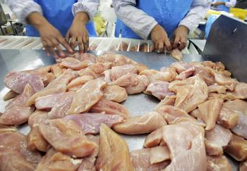 Мясо птицы заражено стафилококком. Фото:Paula Bronstein/Getty Images
