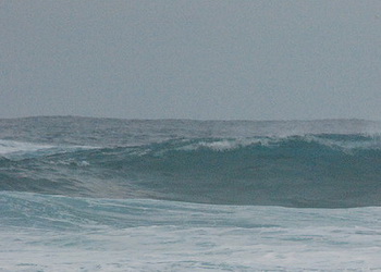 Фото: Curtis Foreman/flickr.com