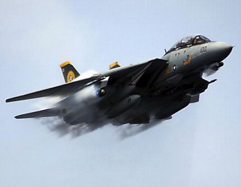 Истребитель F-14 Tomcat. Фото: Nathan Laird/U.S. Navy via Getty Images