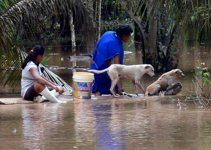 Боливия. Наводнение. Фото: AIZAR RALDES/AFP/Getty Images
