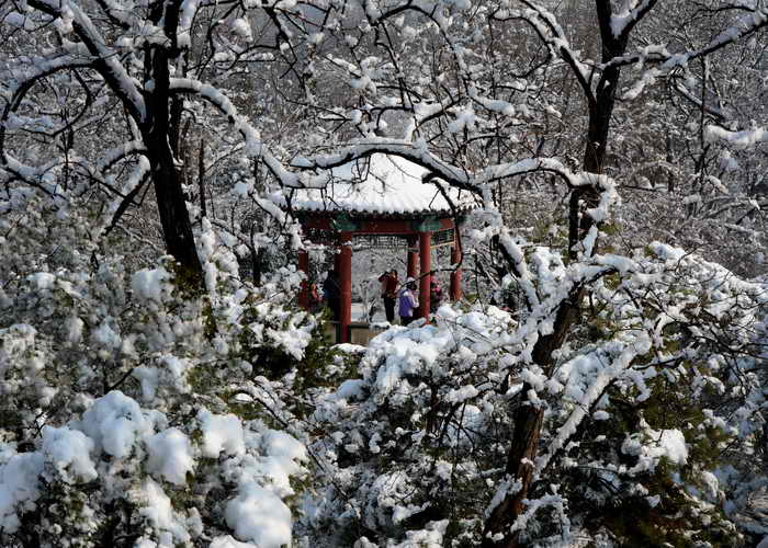 Юго-Восточная Азия замерзает в снегу и метелях. Китай. Фото: MARK RALSTON/AFP/Getty Images