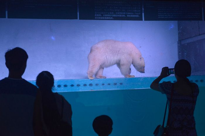 Фото: AFP/Getty Images