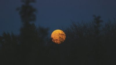 Noah Silliman/unsplash.com/СС0