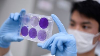 Исследователь работает над репликацией вируса для разработки вакцины против COVID-19 в Белу-Оризонти, Бразилия, 26 марта 2020 года. DOUGLAS MAGNO/AFP via Getty Images