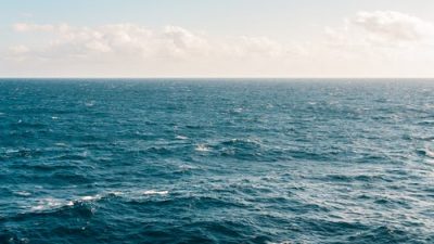 Фото: pexels.com/ru-ru/@kellie-churchman-371878