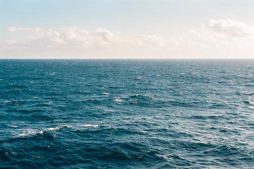 Фото: pexels.com/ru-ru/@kellie-churchman-371878