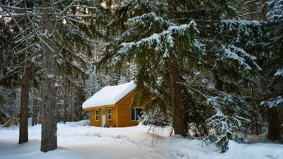 Фото:
pexels.com/ru-ru/@adriaan-greyling-234777