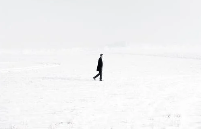 Фото: pexels.com/ru-ru/@amirvisuals