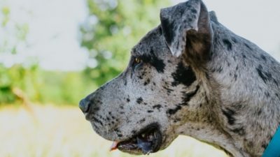 leonides ruvalcabar/unsplash.com/СС0