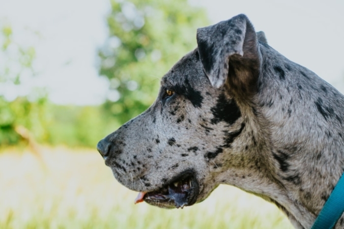 leonides ruvalcabar/unsplash.com/СС0