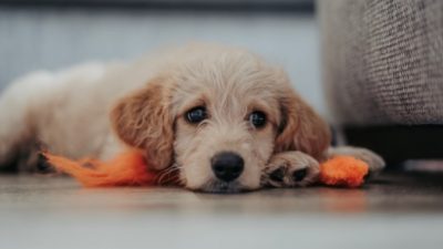 Matthew Foulds/unsplash.com/СС0
