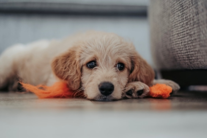 Matthew Foulds/unsplash.com/СС0