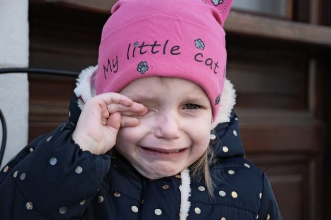 Фото: Bob_Dmyt/needpix.com/СС0