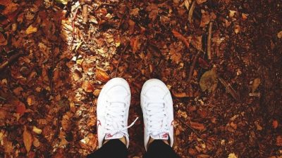 Фото: epicantus/pixabay.com/CC0 0.1
