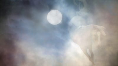 Pezibear/pixabay.com/Pixabay License