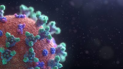 Fusion Medical Animation/unsplash.com/СС0