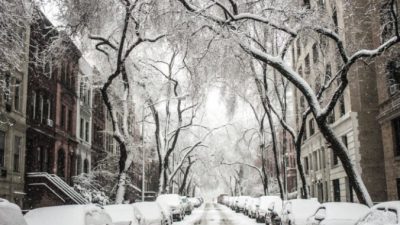 Free-Photos/pixabay.com/Pixabay License