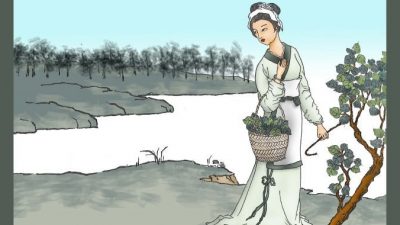 Девушка собирает листья шелковицы. Иллюстрация Сунь Минго / The Epoch Times