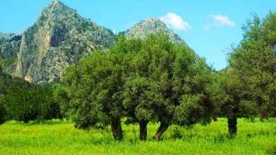 Hans/pixabay/CC0 Public Domain