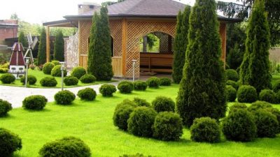 Ландшафтный дизайн.. Фото: sovetnika.net
