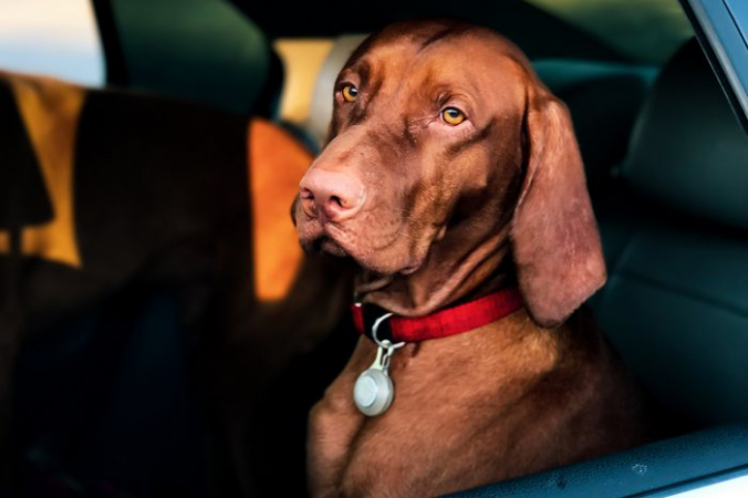 Charles Roth/pexels.com/СС0