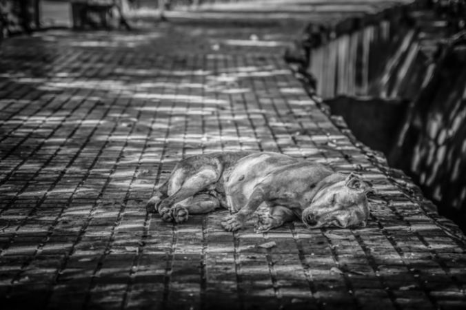 Patrick Hendry/unsplash.com/СС0