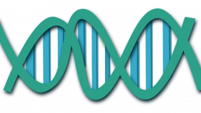 ClkerFreeVectorImages/pixabay/CC0 Public Domain